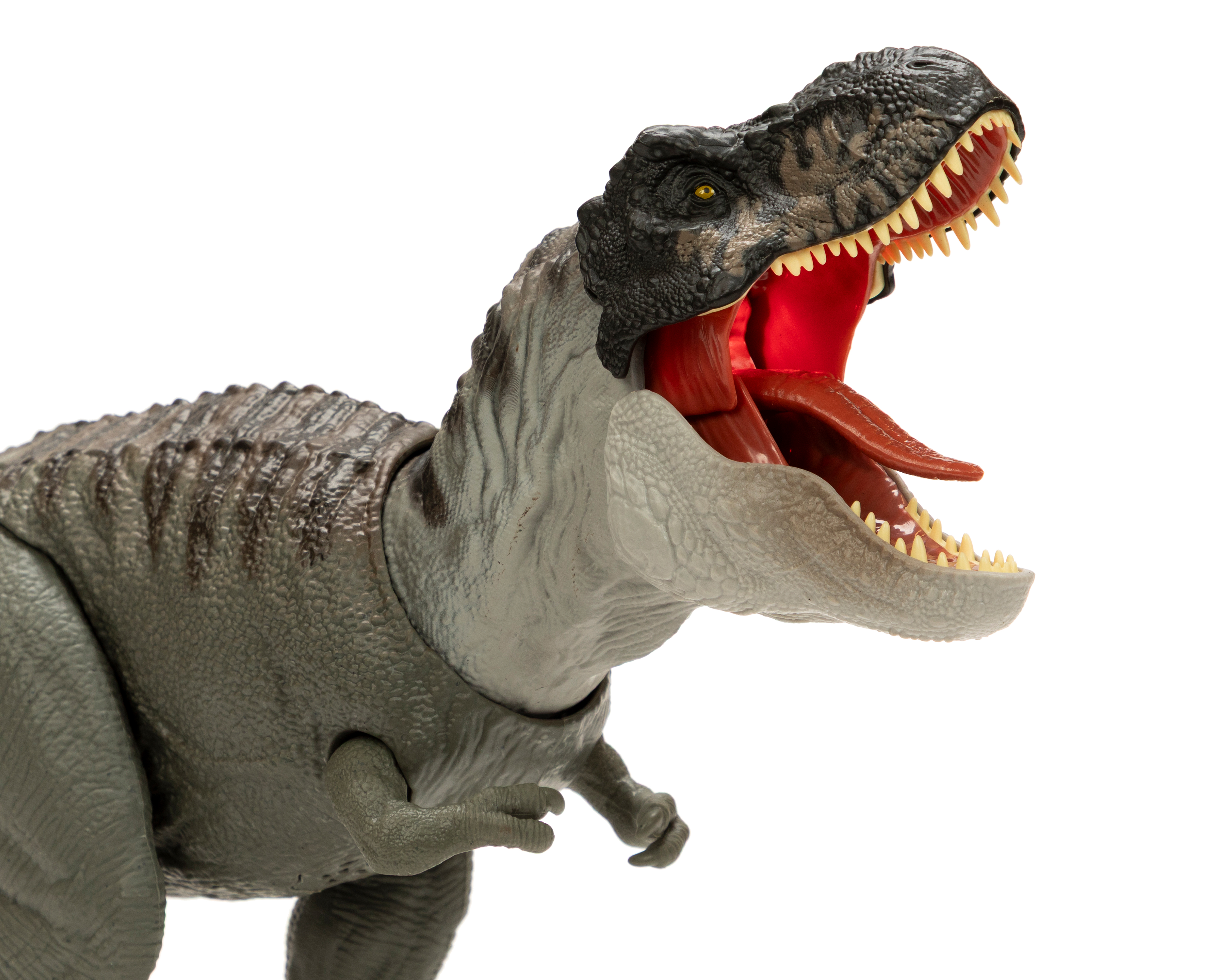 Foto 2 | Foto 2 | Tiranosaurio Rex con Sonidos