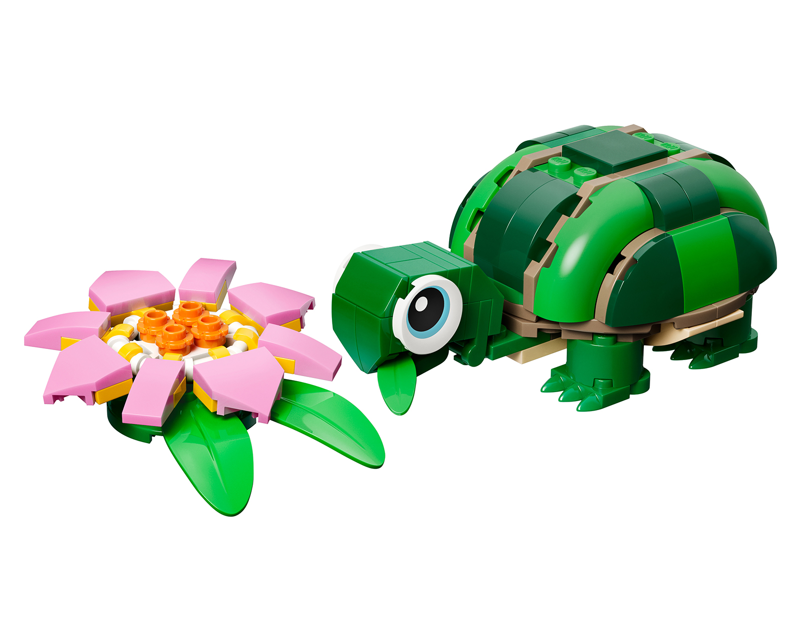 Foto 3 | Foto 3 | LEGO Creator: Tortuga con Flor de Nenúfar