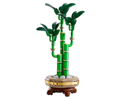 Foto 3 | Foto 3 | LEGO The Botanical Collection: Bambú de la Suerte