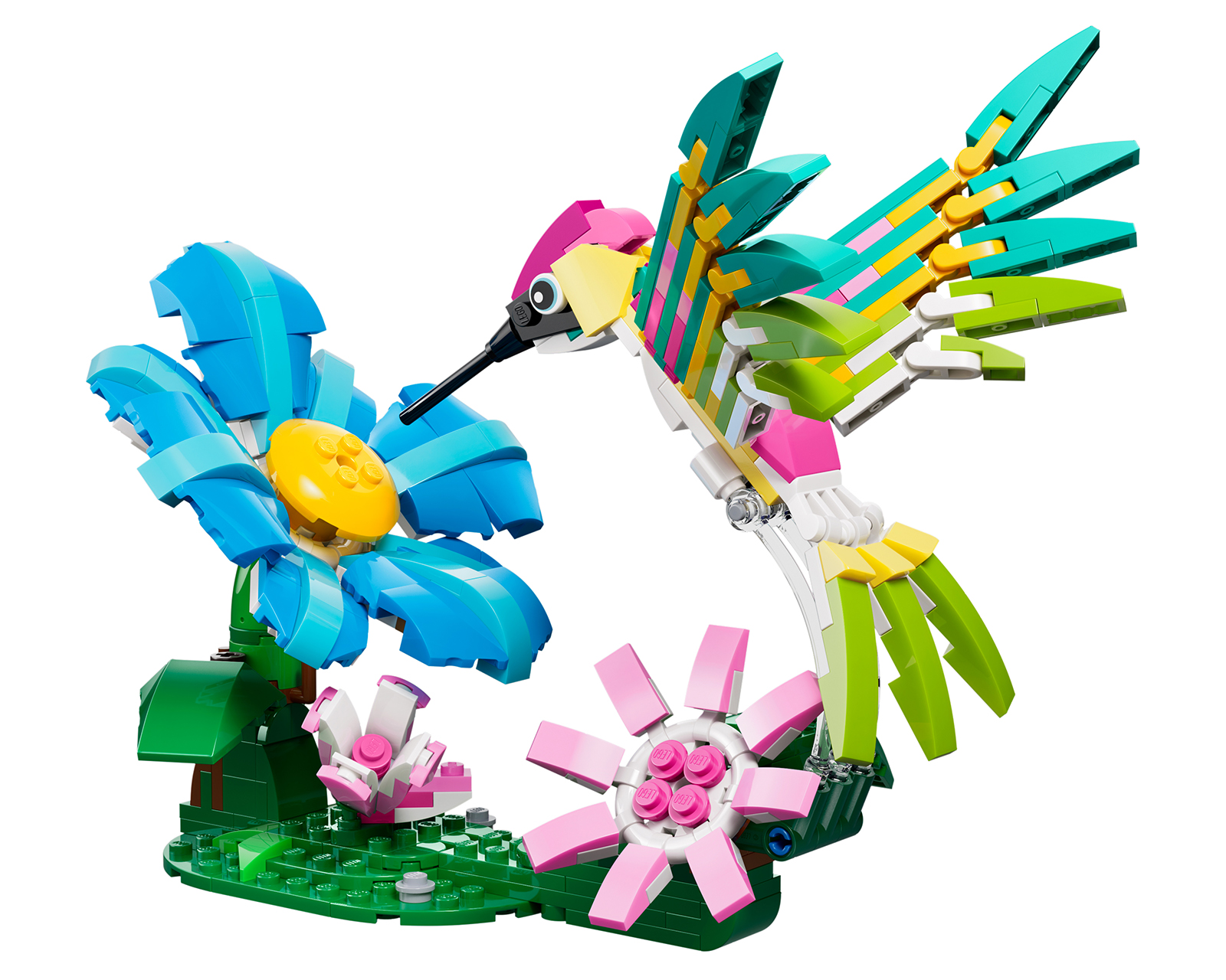 Foto 3 | Foto 3 | LEGO Fauna Salvaje: Colibrí Colorido