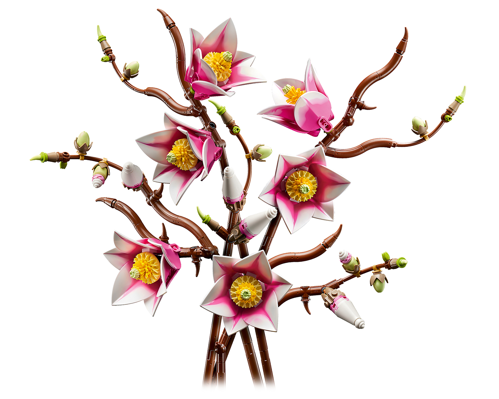 Foto 3 | Foto 3 | LEGO The Botanical Collection: Ramas de Magnolia