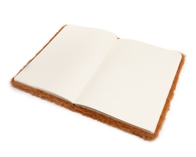 Foto 2 | Foto 2 | Libreta de Capibara Votum