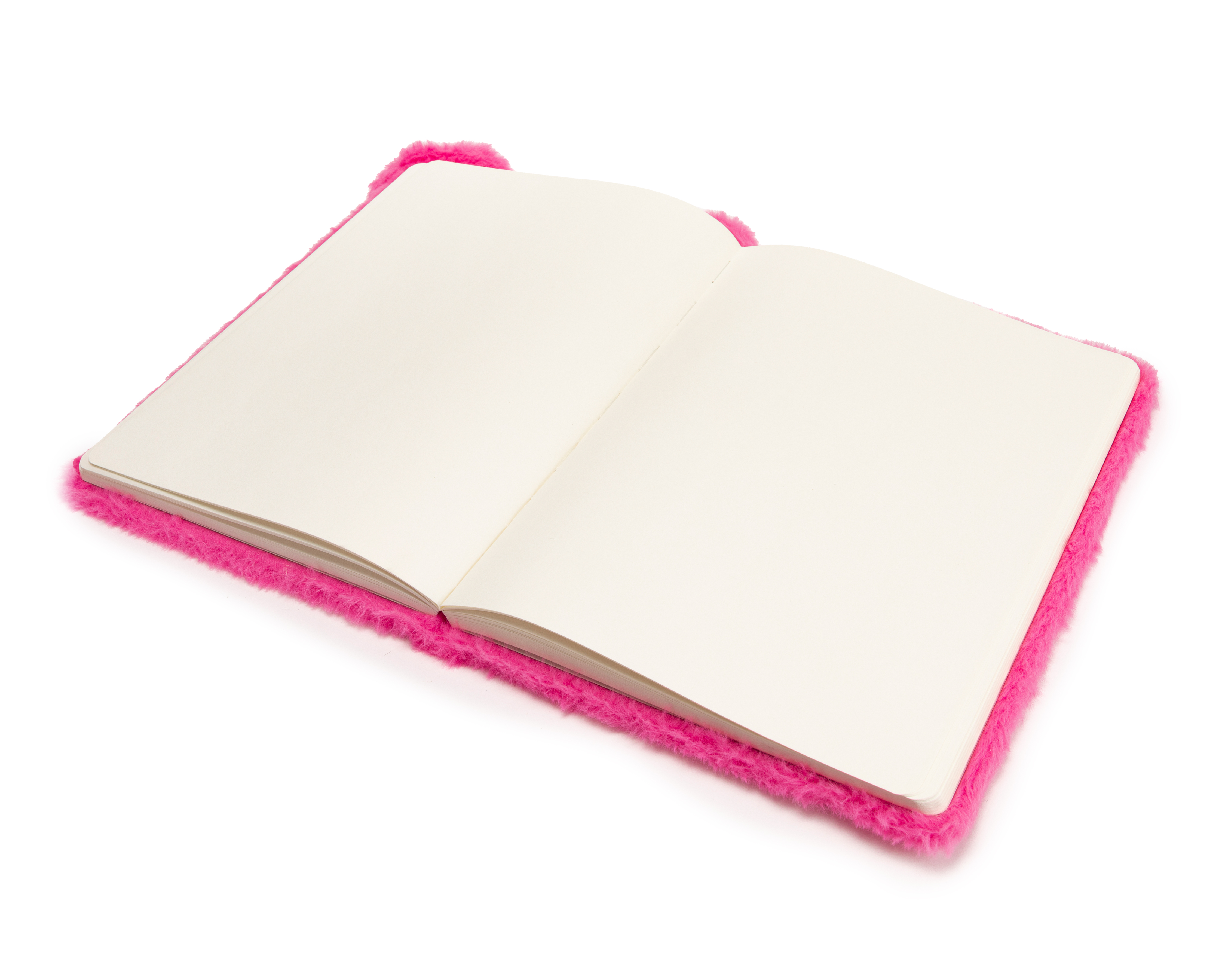 Foto 2 | Foto 2 | Libreta de Oso Votum