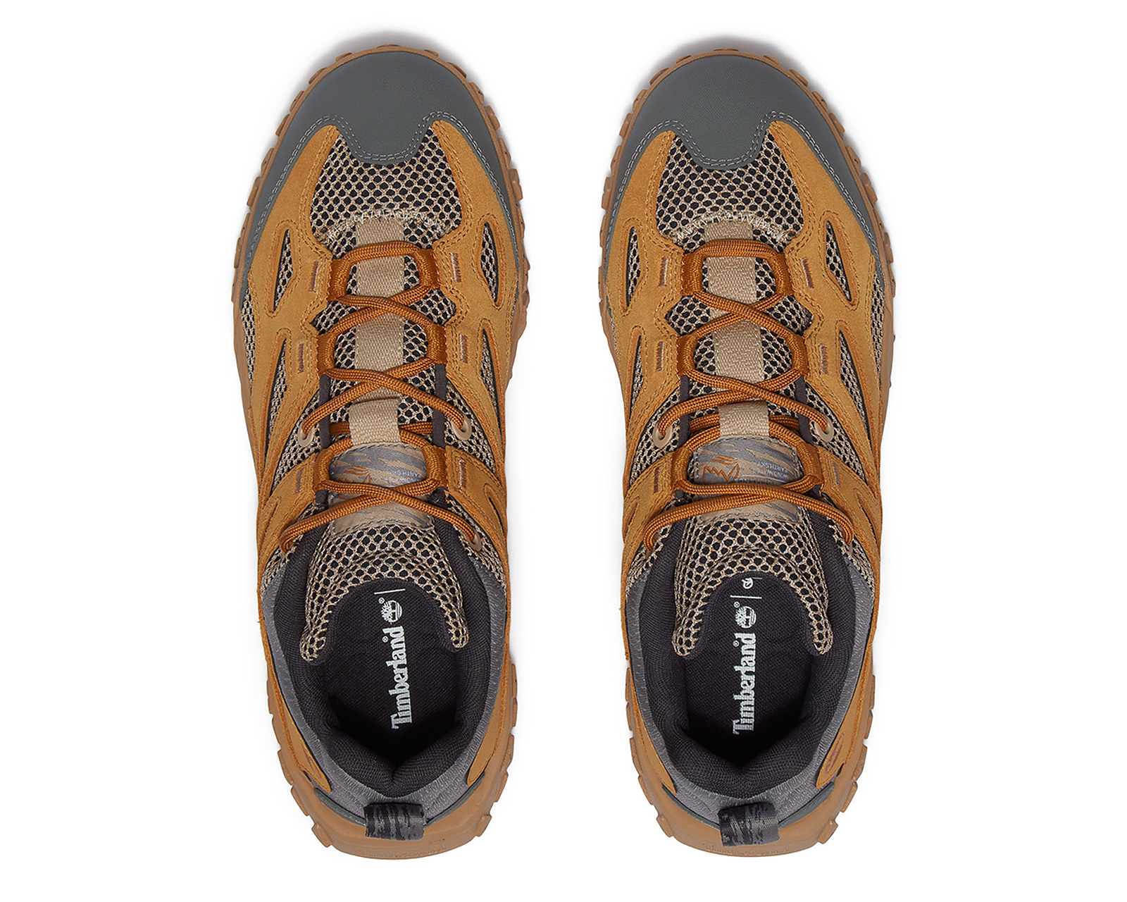 Foto 4 pulgar | Foto 3 | Tenis Timberland GreenStride Motion 6 Low de Piel para Hombre