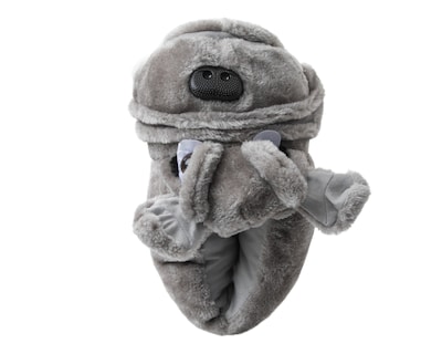 Foto 5 | Foto 5 | Pantuflas de Perro Refill para Hombre